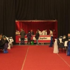 feesten_in_sporthal_tot_1000_zpl_20121119_1765017926