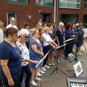 optreden_09_juni_2018_in_steenbergen_9_20180828_1199990960